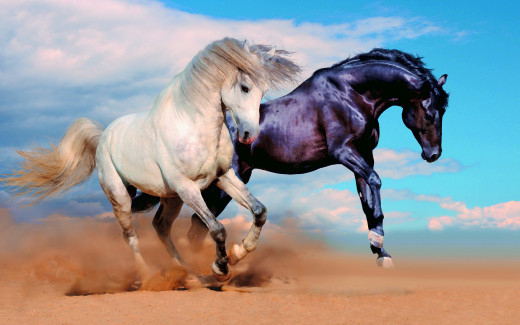 1238280 (a): :2880x1800